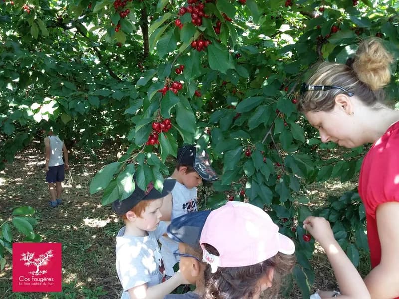 CLOS FOUGERES, La face cachée du fruit