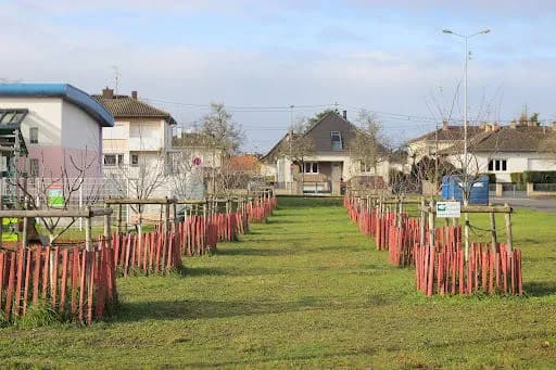 Aire de jeux Schloessel