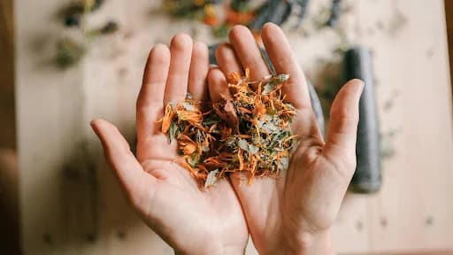 Ambre Verdon, naturopathe et réflexologue à toulouse
