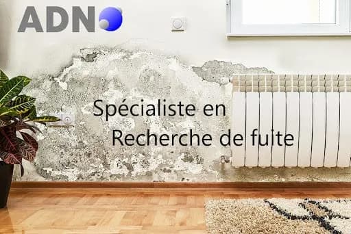ADN - Recherche et Détection de Fuite d'eau - Surconsommation d'eau - Dégât des eaux - Fuite piscine
