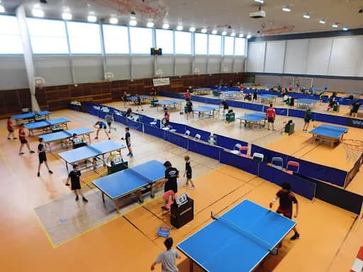 Amicale Lunévilloise de Tennis de Table