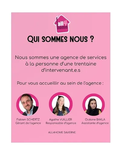 All4home Saverne - Service Household Ironing À Domicile