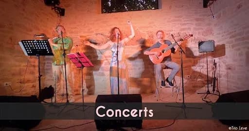 ABC Actions Culturelles
