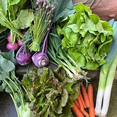 AMAP Collectif potagers d’Ingwiller