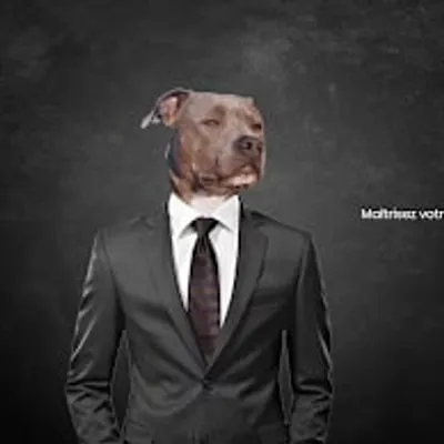 Agence de communication Gocom