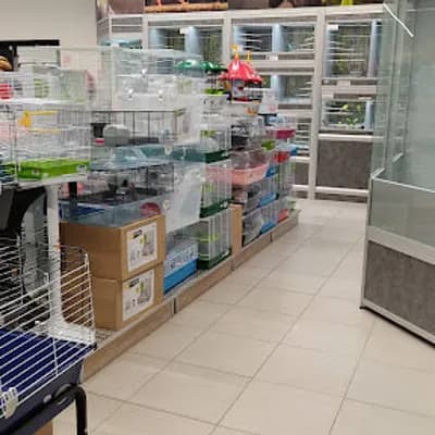 Animalerie Exotus - Alimentation et accessoires pour animaux